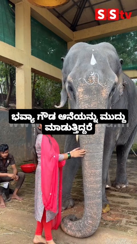 Bhavya Gowda is petting an elephant