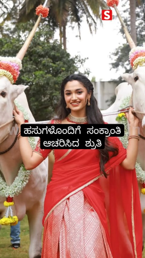 Shruthi celebrated Sankranti with cows