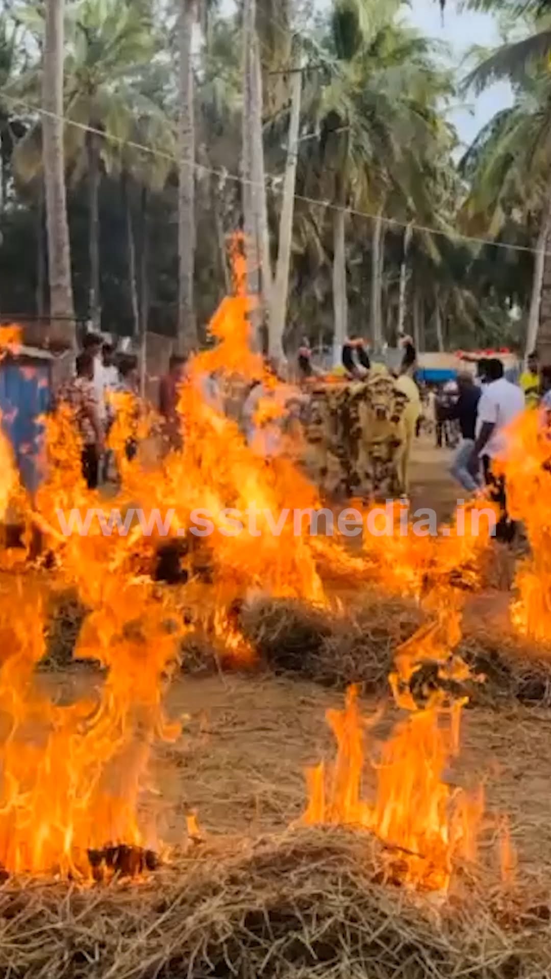 Sankranti celebrations at Darshan Farm House