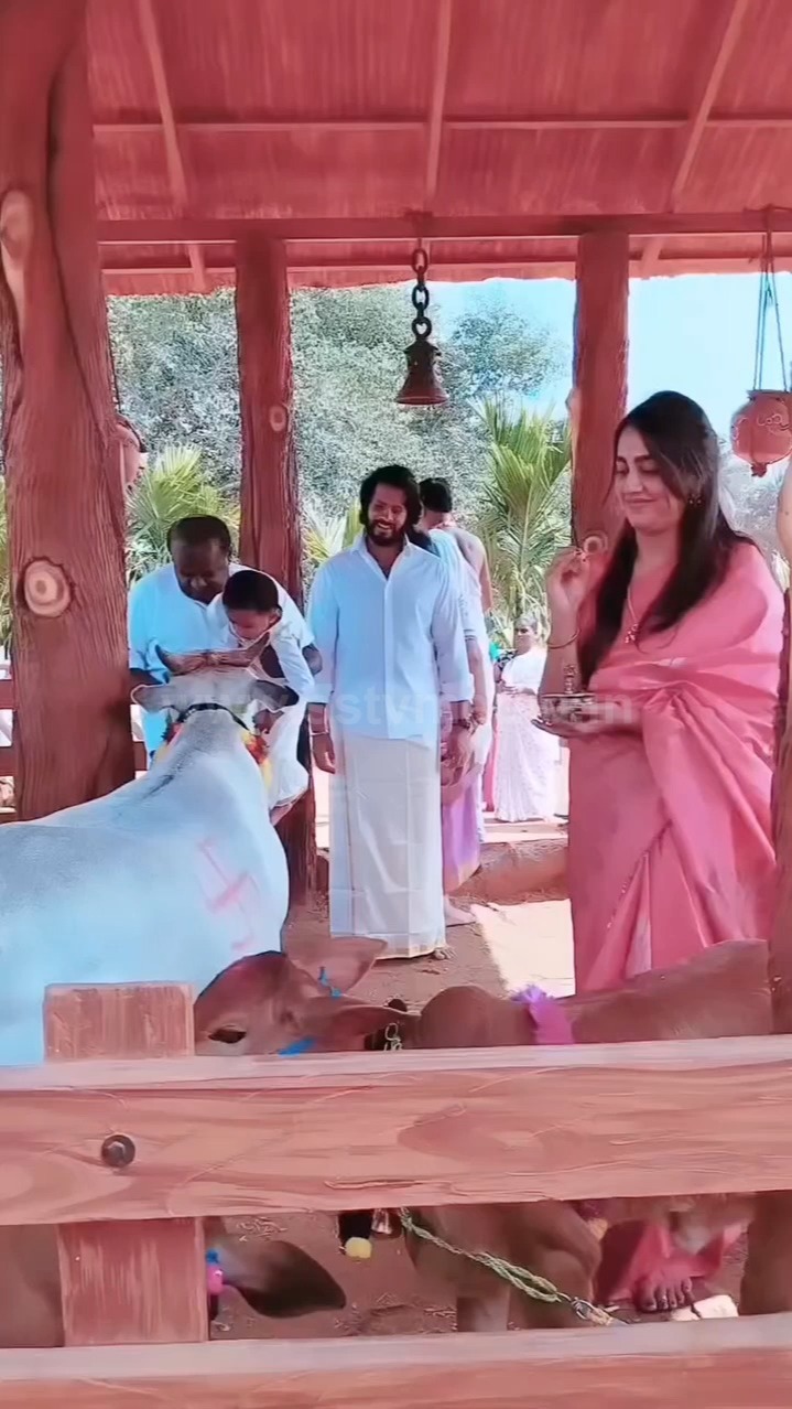 Nikhil Kumar Swamy's wife worshipped cows